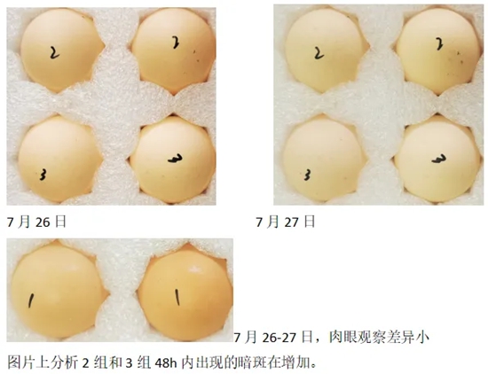 未命名_副本.jpg 圖片