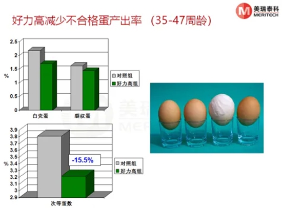 未命名_副本2.jpg 圖片